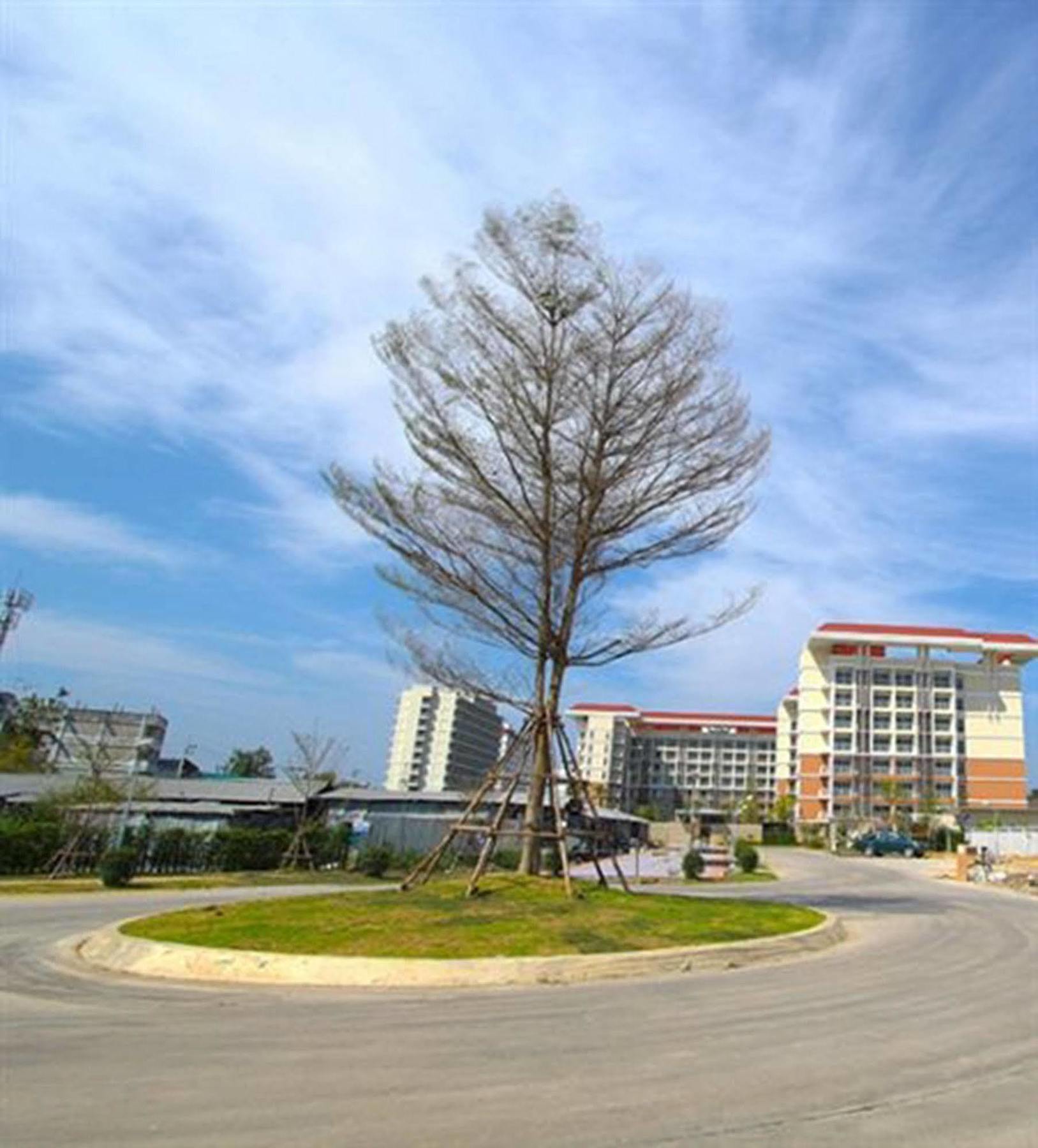 Grow Residencias Bangkok Exterior foto